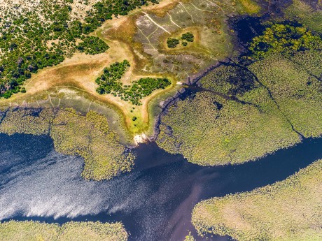 Botswana_Okavango Delta_01_shutterstock©