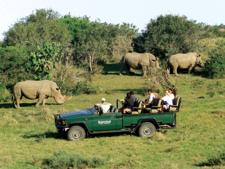 ZA_Kariega Game Viewing_GAW011