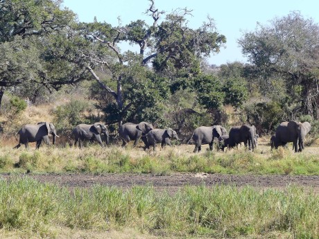 South Africa Kruger Emily Barnett-102013