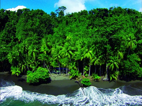 Casa Corcovado Beach Aerial
