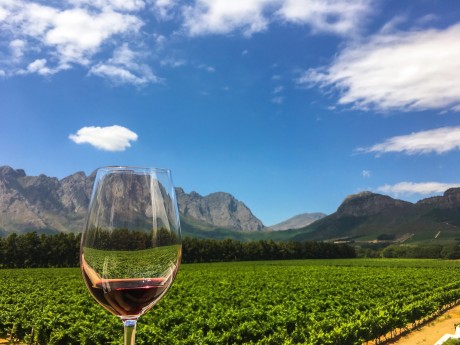 AF_Südafrika_Winelands_Franschhoek_Weinp