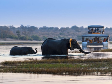Botswana_Elefanten_Chobe River