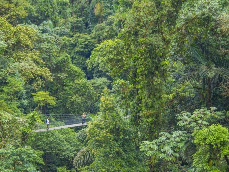 Hanging Bridges La Fortuna