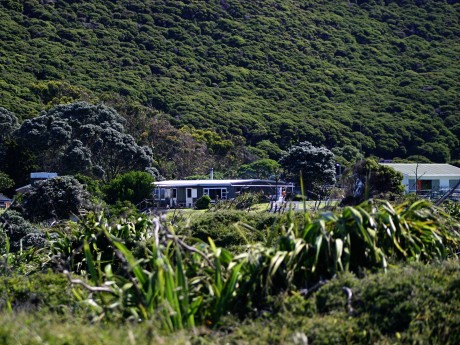 Kapiti Island Nature Tours_Neuseeland_Ki