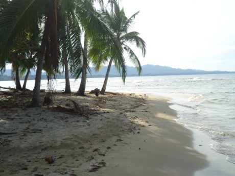 Puerto Viejo de Talamanca Beach