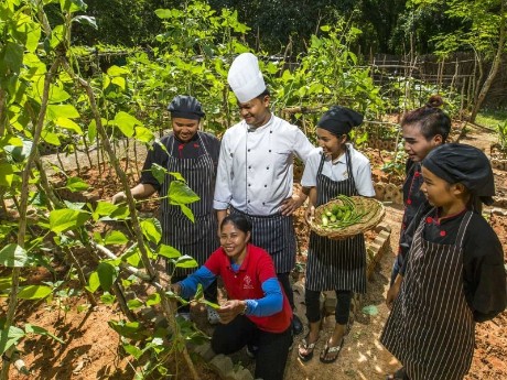 Der Garten des Koh Jum Beach 