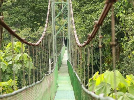 Tirimbina Rainforest Lodge - Bridge I