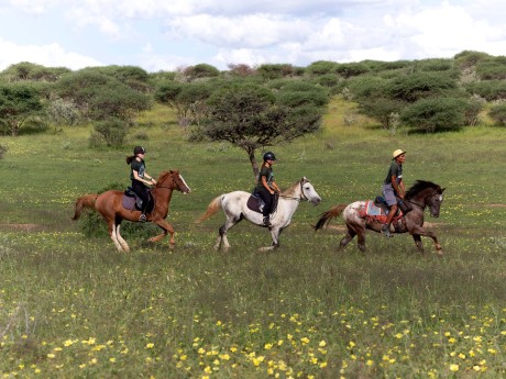 Na'an ku se Lodge_Namibia