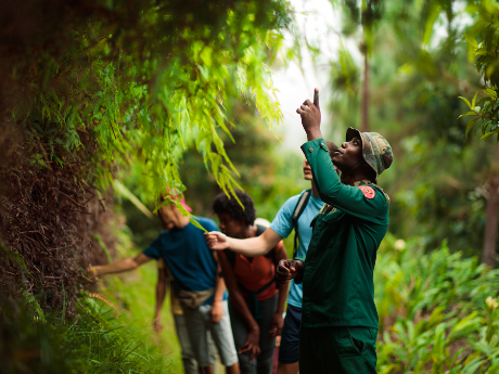 Holywell Jamaica Hiking 