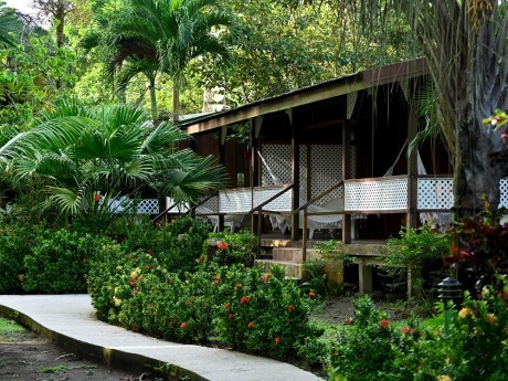 Mawamba Lodge Standard Congo & Jacana 