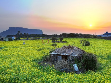 Seongsan Sunrise Peak