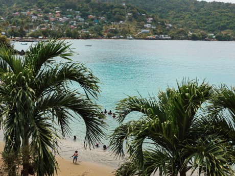 Island Girl Coconut Trees View
