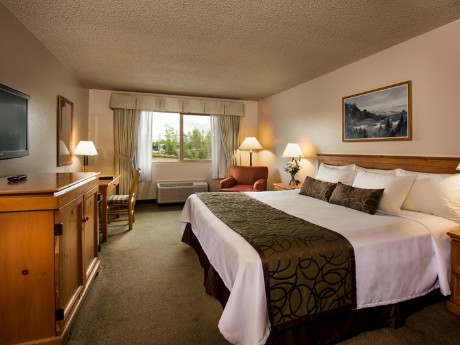 Coast Inn at Lake Hood - Kingbed Room