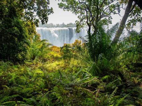 Sunway Zimbabwe Victoria Falls Bruce Tay