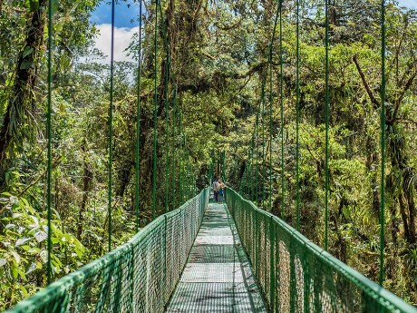 Selvatura Hanging Bridges
