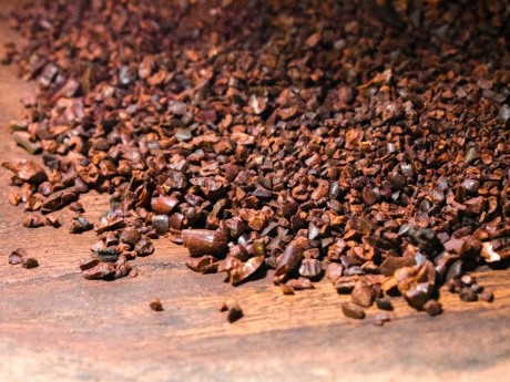 Bribri Culture Cocoa Seeds