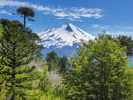 Chile - Seenregion - Vulkan Conguillo