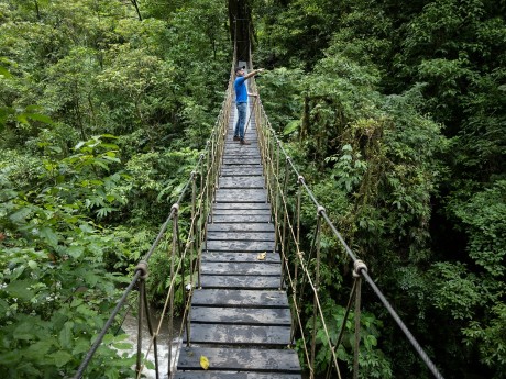 Explore Monteverde
