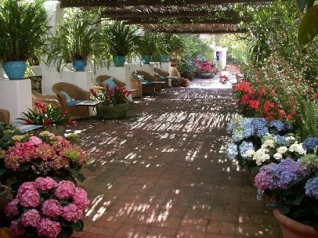 Su Gologone, Garten