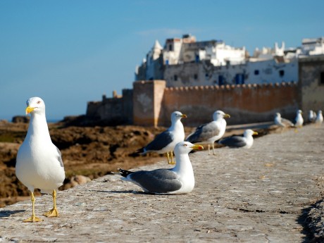 Essaouira