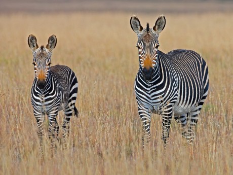 Hazyview, South Africa