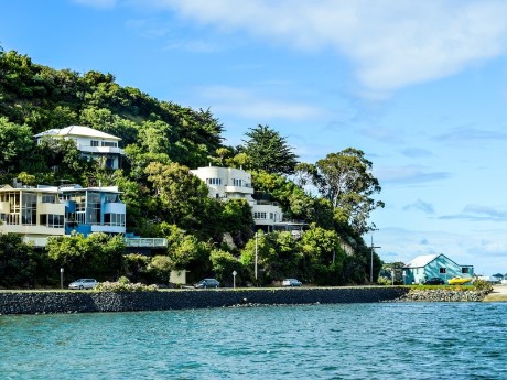 Coast in Dunedin