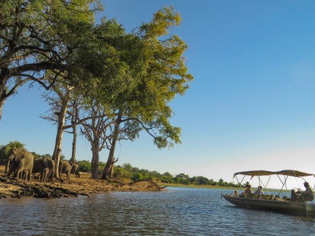 Sunway Botswana Chobe Christian Hertel-8