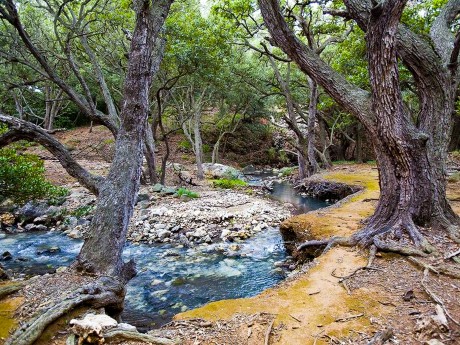 Rincon de la Vieja National Park