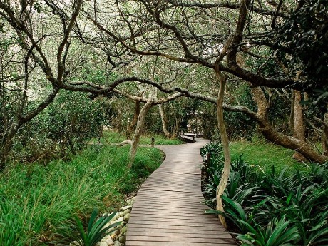 Garten, Mosaic Lagoon Lodge