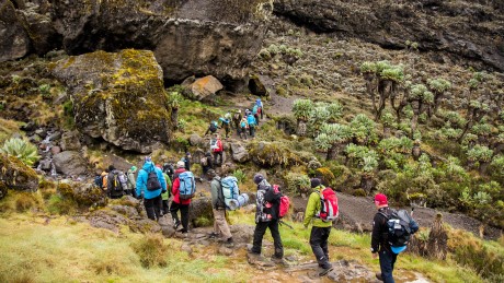 Kilimanjaro - 6 Day Rongai Route