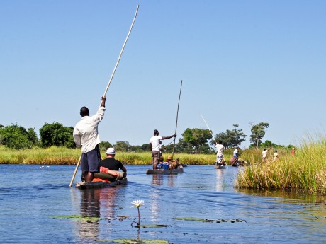 Botswana_Chobe NP_Okavango Delta_Maun_Mo