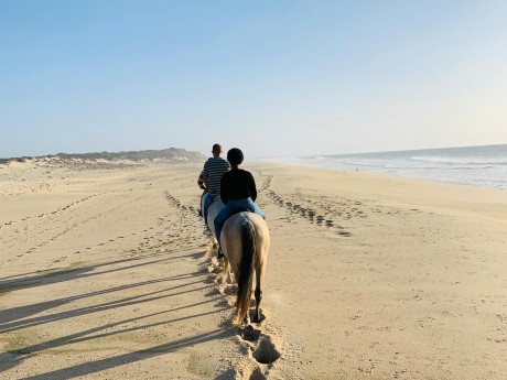 Beach horseback