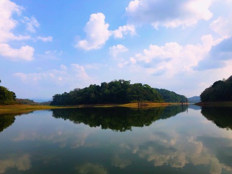 Periyar National Park Lake