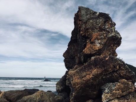 Rock in Port Macquarie, Australia