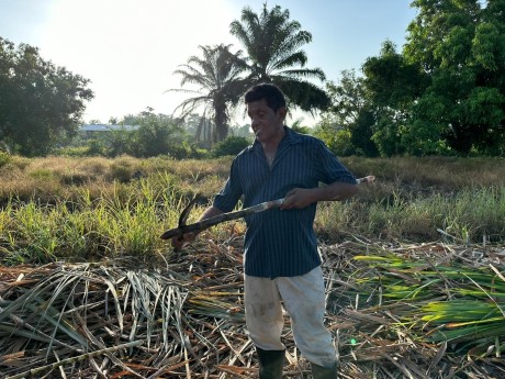 Farm in Backdam