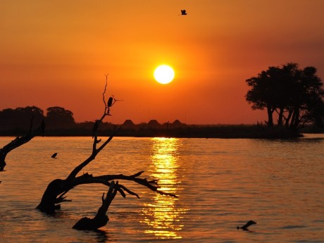 Chobe bei Sonnenuntergang
