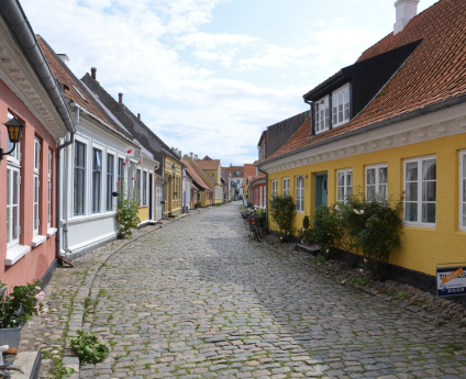 Danish Streets
