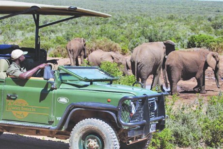 Südafrika_Zuurberg Mountain Village_Addo