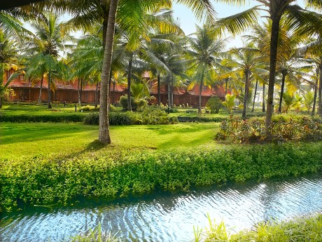 Lakesong_tropical garden