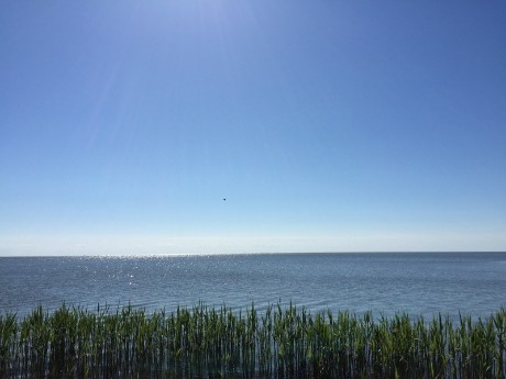 Ostsee an der Kurischen Nehrung