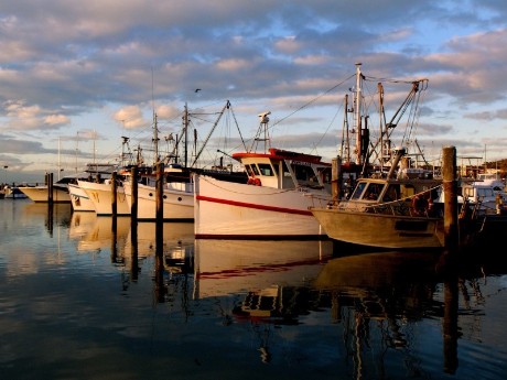 Port Stephens in Australia