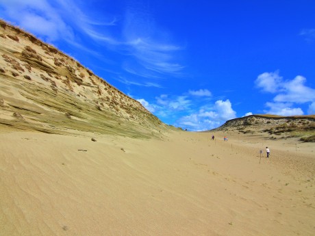Curonian Spit Sand Dune
