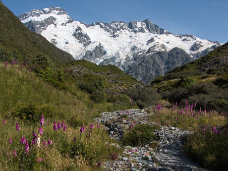 Neuseeland_Si_Mount Cook NP_Kea-Point-Tr
