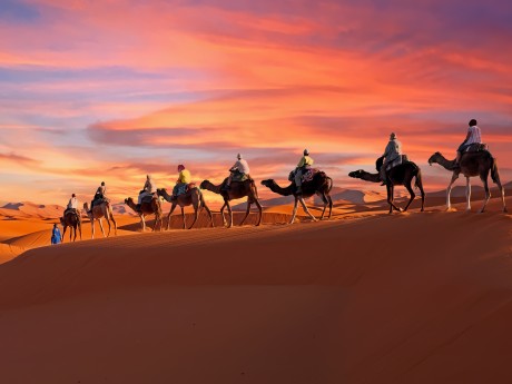 Sahara Kamelritt