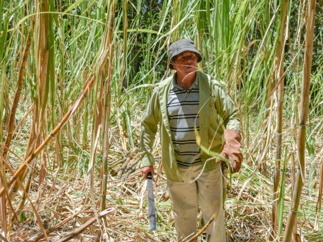 Farmer with Machete