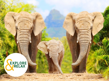 Südafrika und Mauritius Explore & Relax