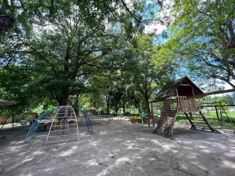 Public Park in New Amsterdam