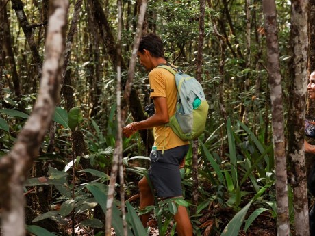 Nature walk, Guyana