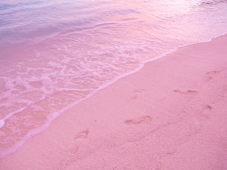 Pink Sand Beach