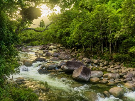 Australien_Queensland_Daintree NP
